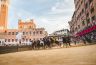 Palio Straordinario: la fotogallery della corsa